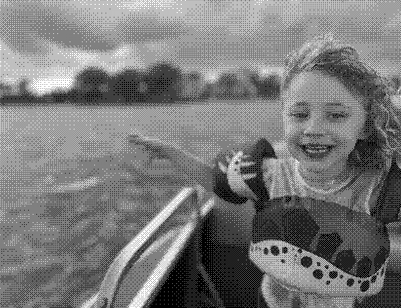 A gleeful first mate on the water.